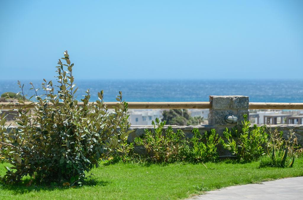 Naxos Luxury Villas Мікрі-Віґла Екстер'єр фото