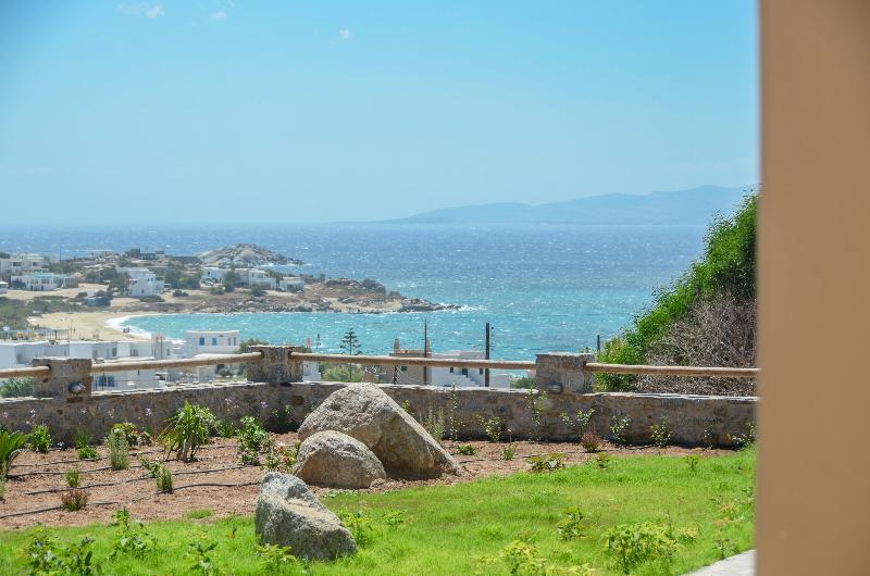 Naxos Luxury Villas Мікрі-Віґла Екстер'єр фото