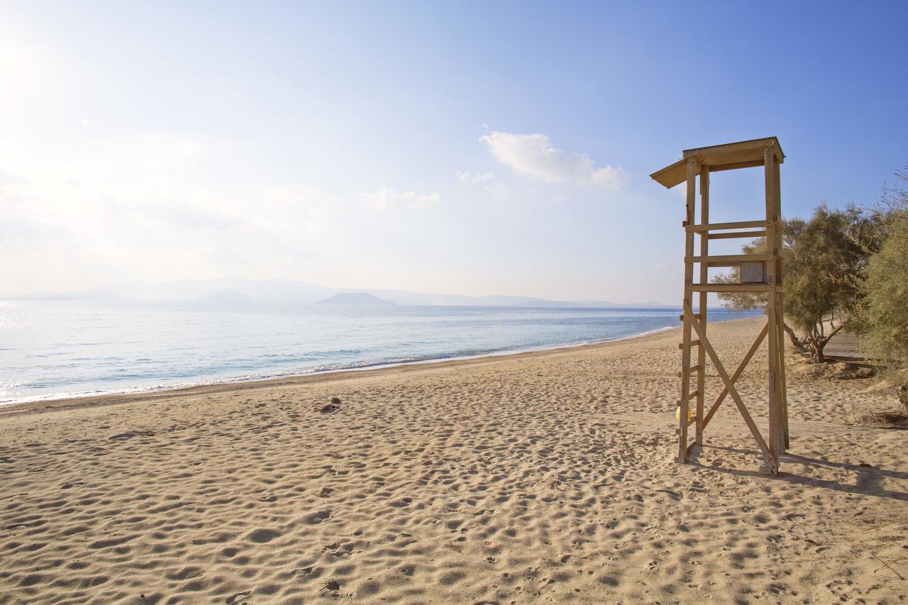 Naxos Luxury Villas Мікрі-Віґла Екстер'єр фото