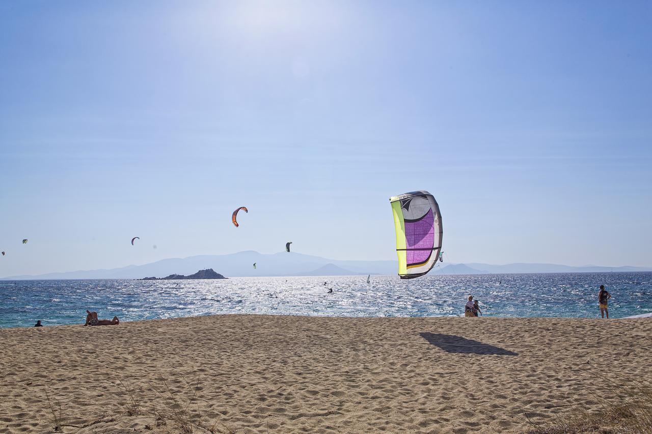 Naxos Luxury Villas Мікрі-Віґла Екстер'єр фото