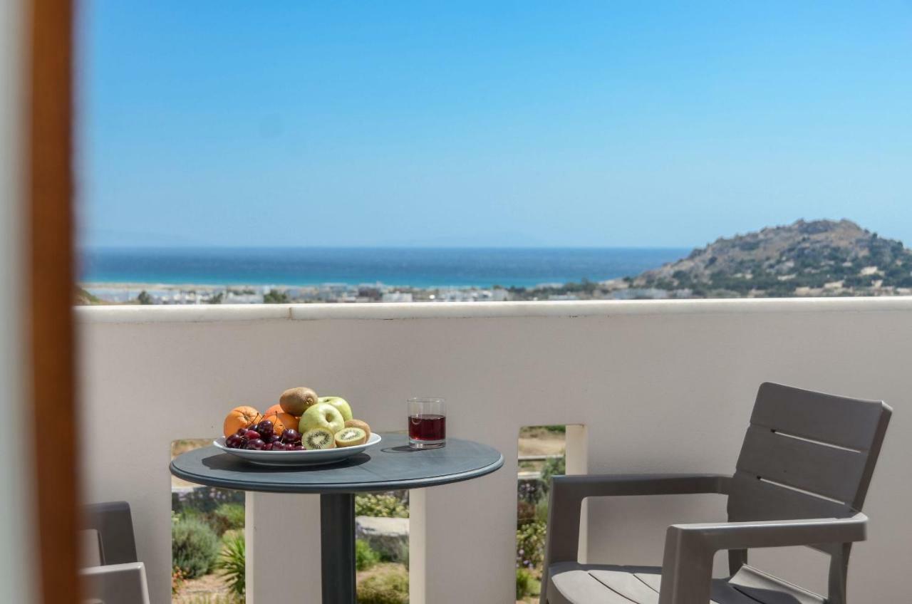 Naxos Luxury Villas Мікрі-Віґла Екстер'єр фото